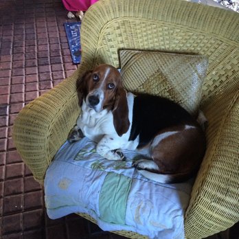 Mobile Veterinary Services - My cutesy pie:) R.I.P. - Veterinarians Near Me - Honolulu, Hawaii