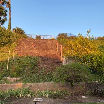 Rosewood Landscape - Before: starting point of project - Landscaping Near Me - Palos Verdes Estates, California Rosewood Landscape - Before: starting point of project - Landscaping Near Me - Palos Verdes Estates, California