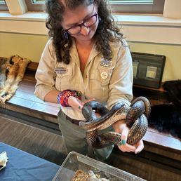 21-year-old black rat snake