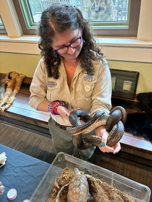 Hocking Hills State Park by null