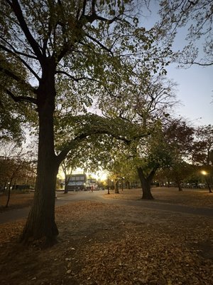 Herbert Von King Park by null
