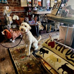 Two Bronze Dogs - Bailey stopped in to stock up on treats while she was out for her Sunday walk.