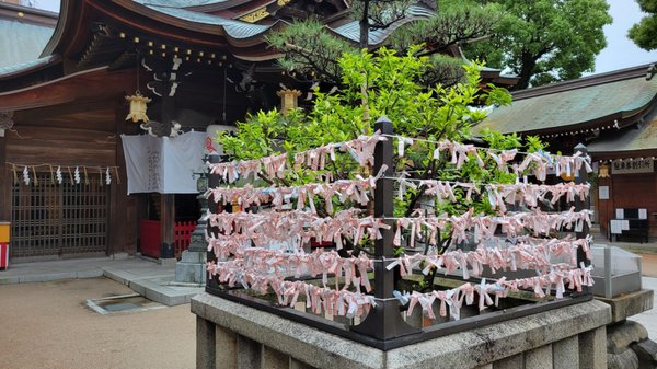 Kushida Shrine by null