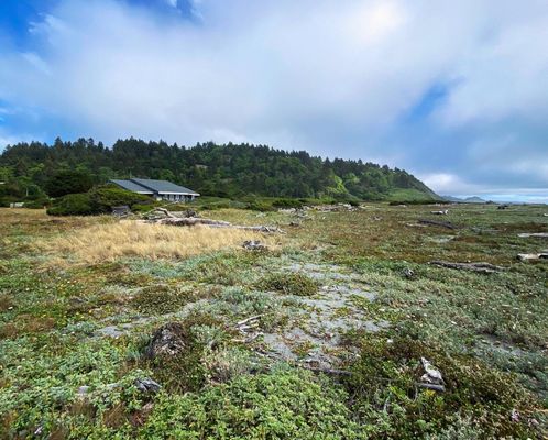 Thomas H. Kuchel Visitor Center by null