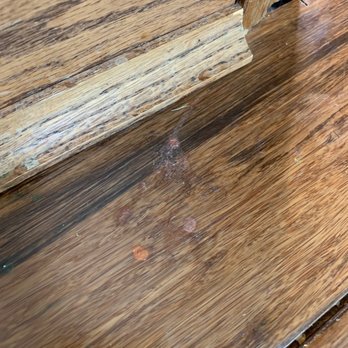 Agnes Cleaning Service - I paid $300 for this ladies and gentlemen. How are people like this in business?? - Home Cleaning Near Me - Grayslake, Illinois Agnes Cleaning Service - I paid $300 for this ladies and gentlemen. How are people like this in business?? - Home Cleaning Near Me - Grayslake, Illinois
