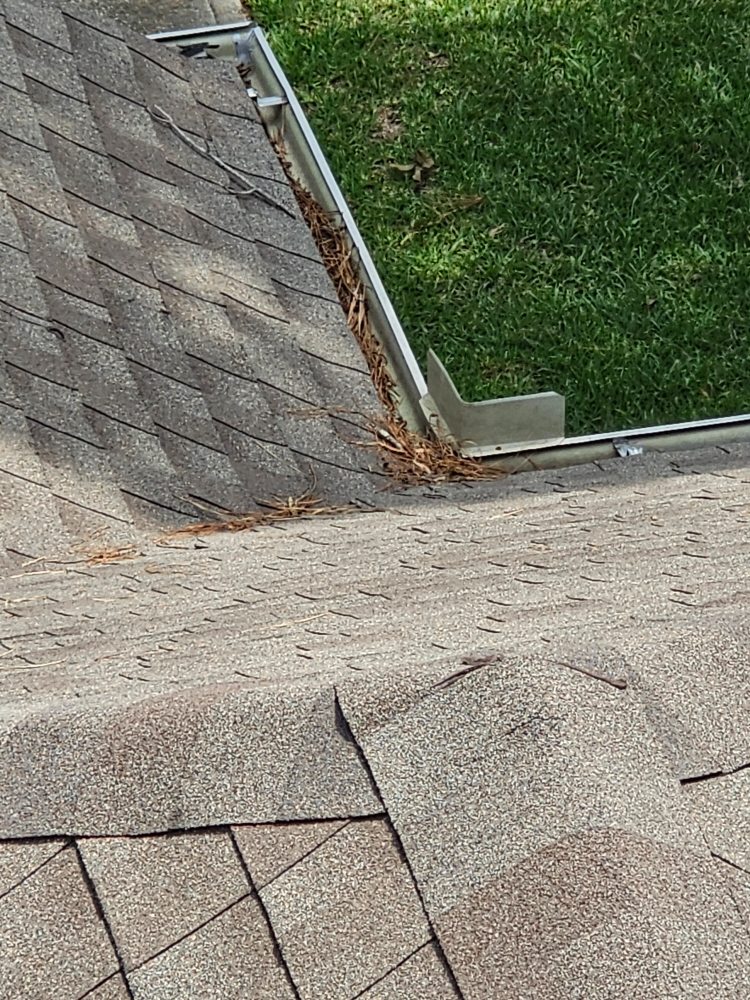 Slide of Orion's Rain