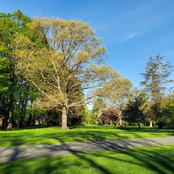 Puritan Lawn Memorial Park