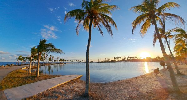 Matheson Hammock Park & Marina by null
