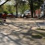 Photo of Volkspark