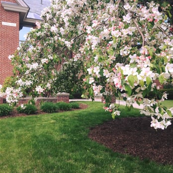 Saint Michael's College - Colleges & Universities Near Me - Colchester, Vermont