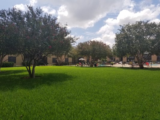 Sycamore Creek Apartments by null