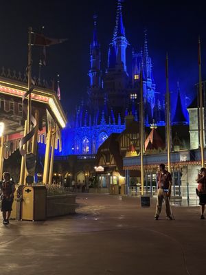 Cinderella Castle by null