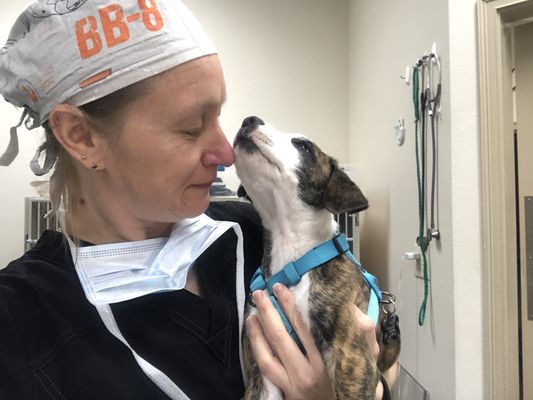 SALTY PAWS ANIMAL HOSPITAL - 13 Photos - 208 N 2nd St, Flagler Beach SALTY PAWS ANIMAL HOSPITAL - 13 Photos - 208 N 2nd St, Flagler Beach