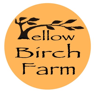 Yellow Birch Farm by null
