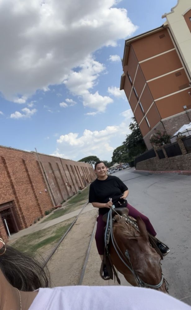Fort Worth Stockyards Stables