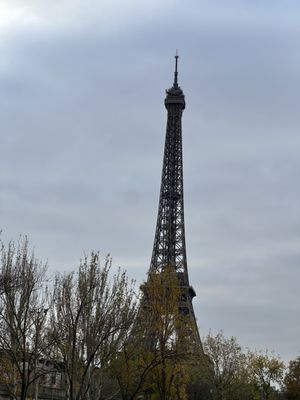 Vedettes de Paris by null