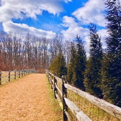 Okehocking Preserve - Okehocking Preserve