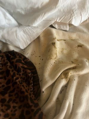 The Broadmoor At Creekside Park