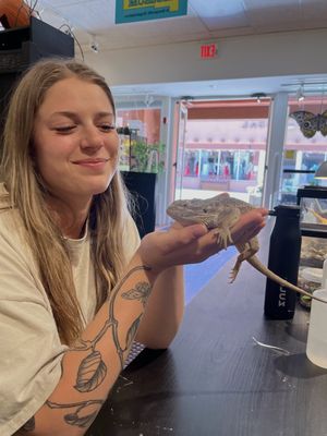 Santa Fe Reptile and Bug Museum by null