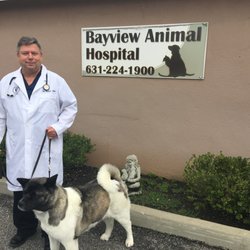 Bayview Animal Hospital