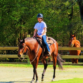 Montross Quarter Horses - Horseback Riding Near Me - Chapel Hill, North Carolina Montross Quarter Horses - Horseback Riding Near Me - Chapel Hill, North Carolina