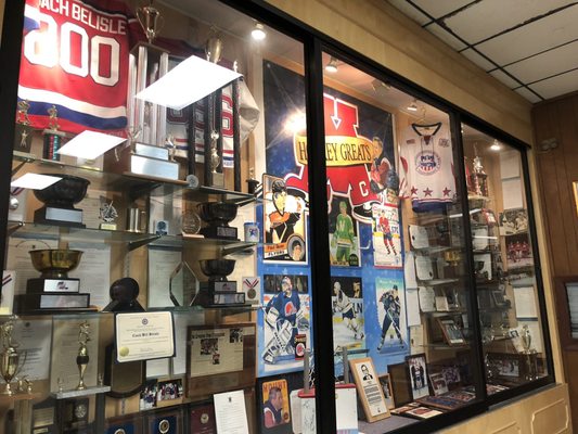 Mount St. Charles Adelard Arena