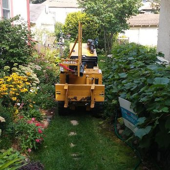 Absolutely Stumped - I am able to fit in tight areas with my equipment - Tree Services Near Me Absolutely Stumped - I am able to fit in tight areas with my equipment - Tree Services Near Me