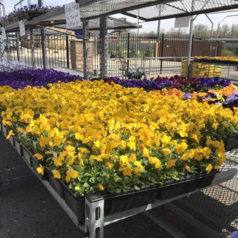 Plants By Wolfangel - Nurseries & Gardening Near Me - Cincinnati, Ohio Plants By Wolfangel - Nurseries & Gardening Near Me - Cincinnati, Ohio