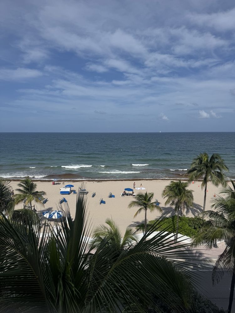 Rooftop Pool and Bar
