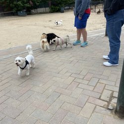 Railyard Dog Park