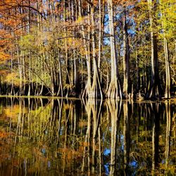 Backwater Jacks