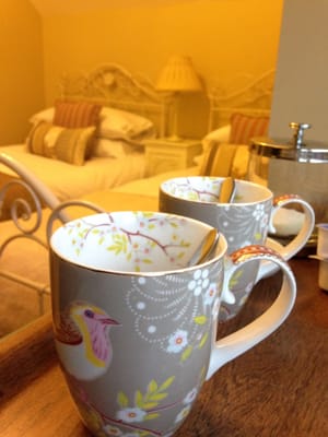 The Natterjack Inn by null