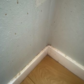 BA House Cleaning - Left many dirty walls - Home Cleaning Near Me - Oakland, California