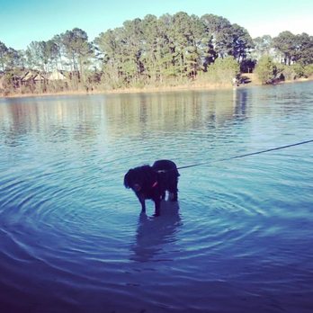 Smith Creek Park Preserve - Parks Near Me - Wilmington, North Carolina Smith Creek Park Preserve - Parks Near Me - Wilmington, North Carolina