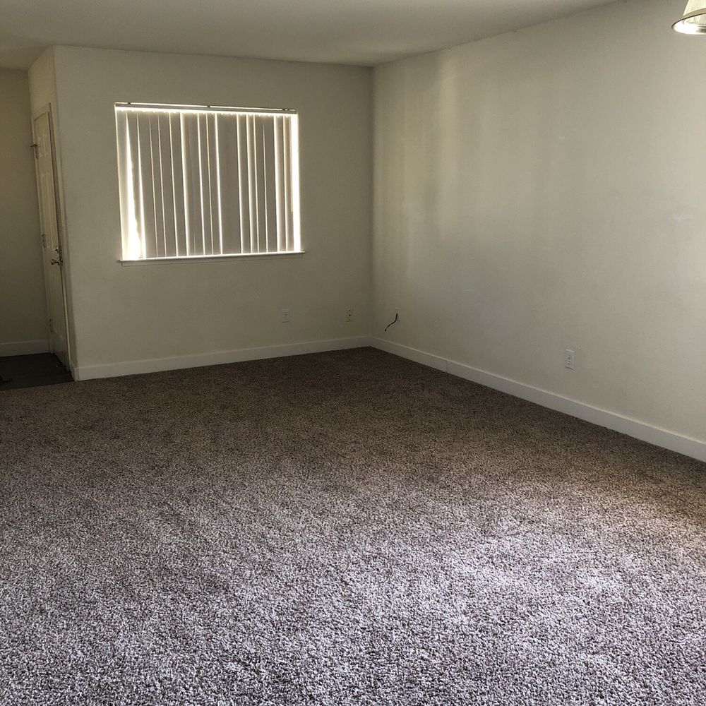 Doug Bracy Carpet & Tile Cleaning - Carpet Cleaning Near Me