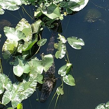 Kapok Park - Parks Near Me - Clearwater, Florida