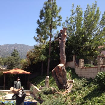 JBS Tree Care - Tree Services Near Me - Pomona, California