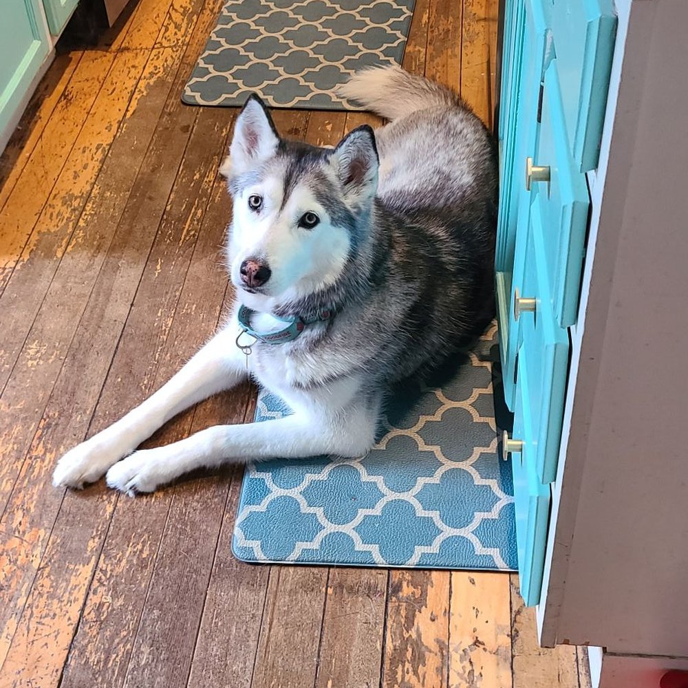 TOP 10 BEST Bed and Breakfast near Oakdale, Portland, ME - Updated 2026 -  Yelp