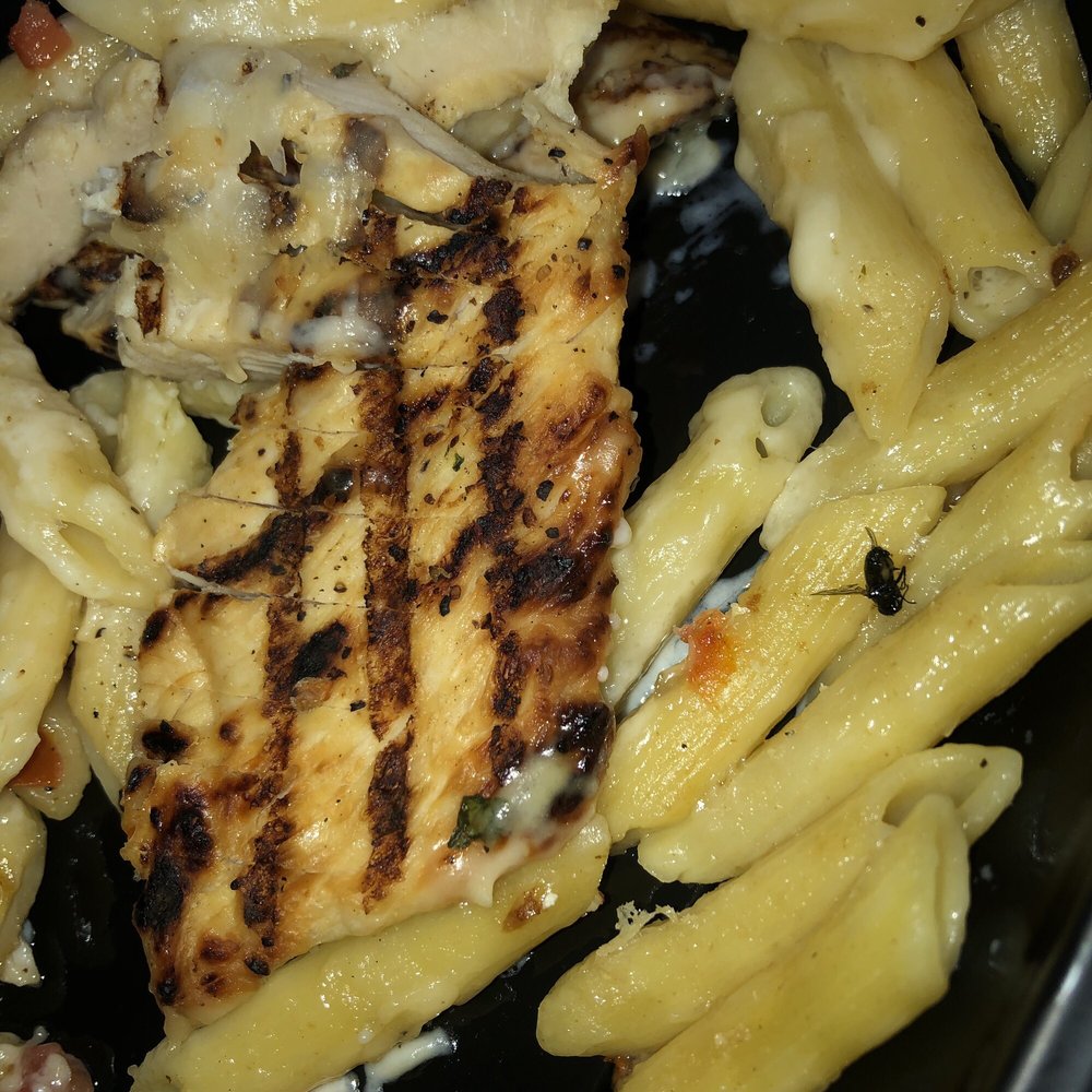 Applebee's Grill + Bar - dead fly in my pasta, was stuck under my chicken - American Near Me - Indio, California