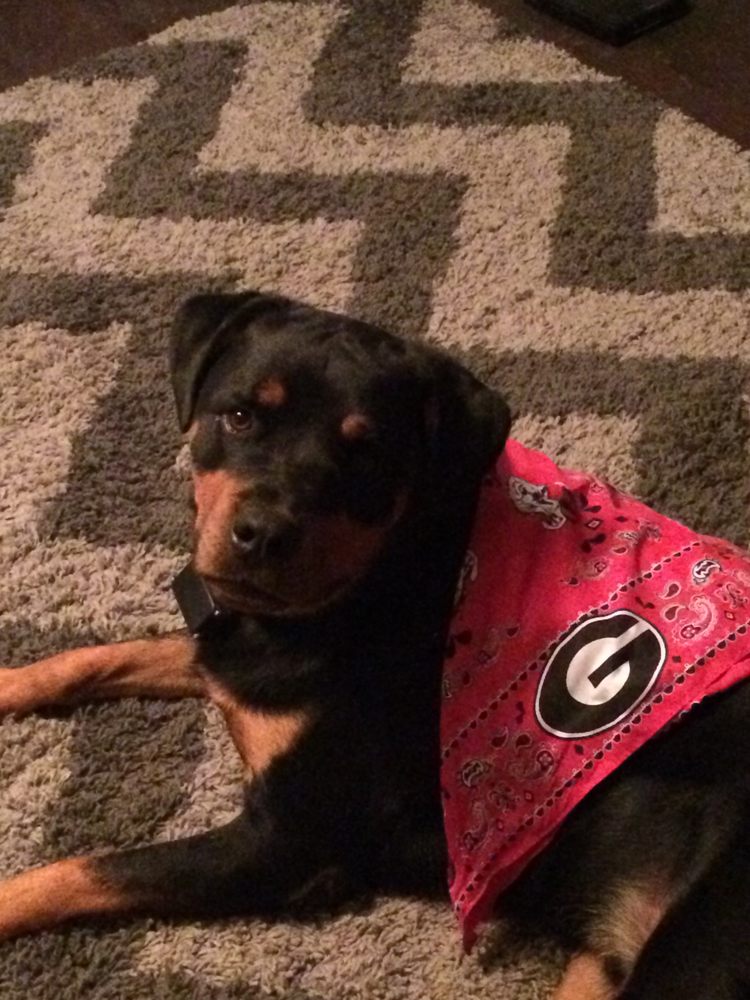 BLUE RIBBON EQUINE SERVICES Updated September 2024 5582 Hwy 9