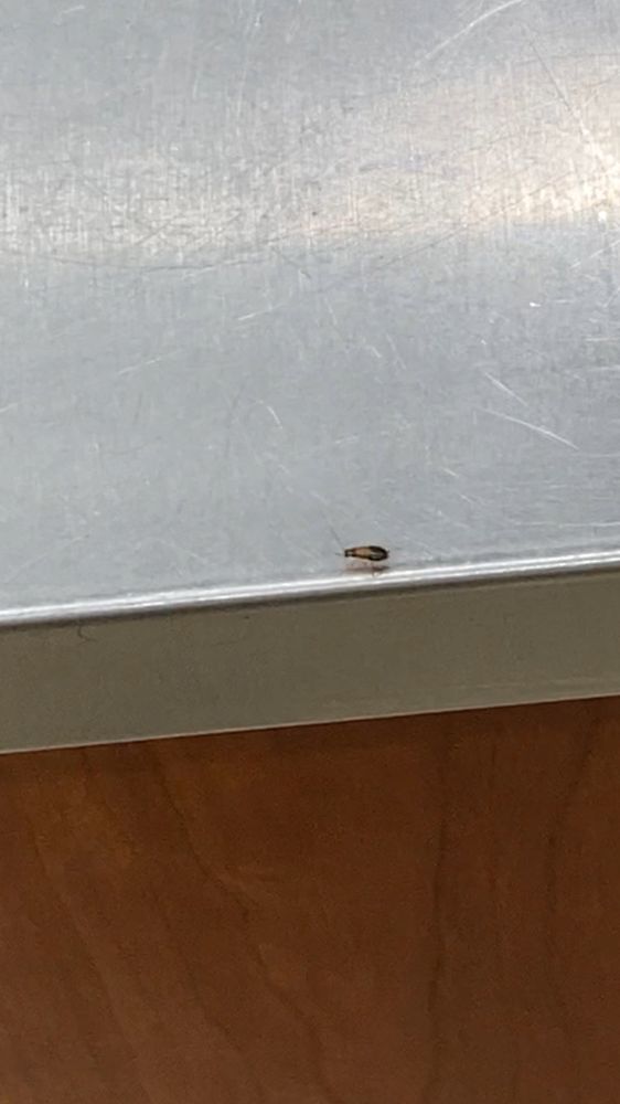 CEFCO 0094 Updated July 2024 38 Photos 16242 US271, Tyler, Texas Gas Stations Phone