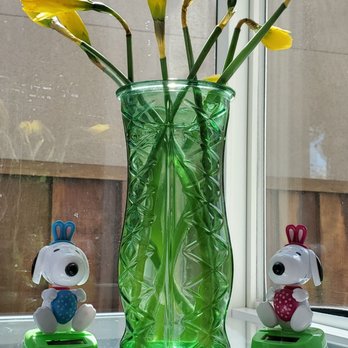 Trader Joe's - Complementary daffodils to each customer entering the TJ's this morning...March 20, 2020 - Grocery Near Me - San Jose, California Trader Joe's - Complementary daffodils to each customer entering the TJ's this morning...March 20, 2020 - Grocery Near Me - San Jose, California