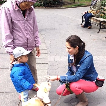 Denise Mange Dog Training - Pet Training Near Me Denise Mange Dog Training - Pet Training Near Me