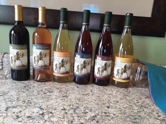 Moose & Goose Winery by null