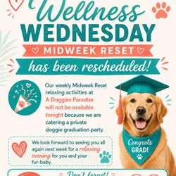 Doggie Bag Cafe - Closing early today Wednesday, May 27th to cater a Special Fur-baby Graduate Event.