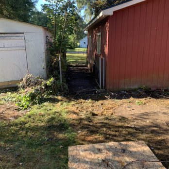 Dump Dynasty - Junk Removal & Hauling Near Me