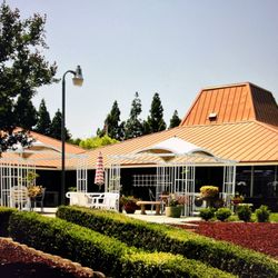 Delta Hawaii - The Patio