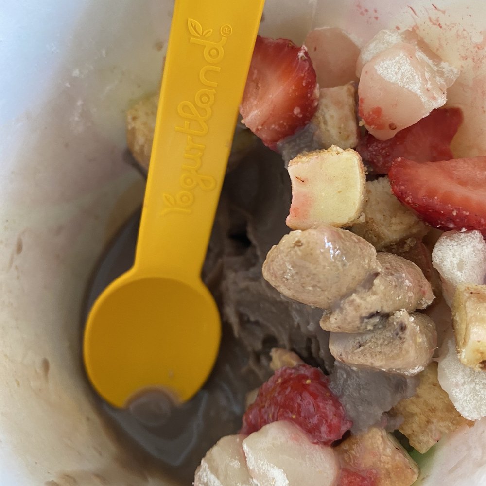 Yogurtland - Ice Cream & Frozen Yogurt Near Me - San Jose, California