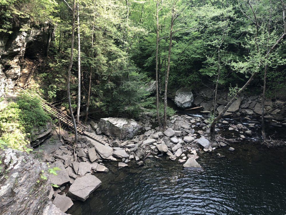 SAVAGE GULF STATE PARK AND NATURAL AREA Updated August 2024 41