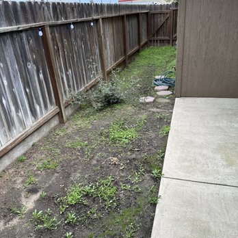 TRINITY LAWN CARE - Before - Gardeners Near Me